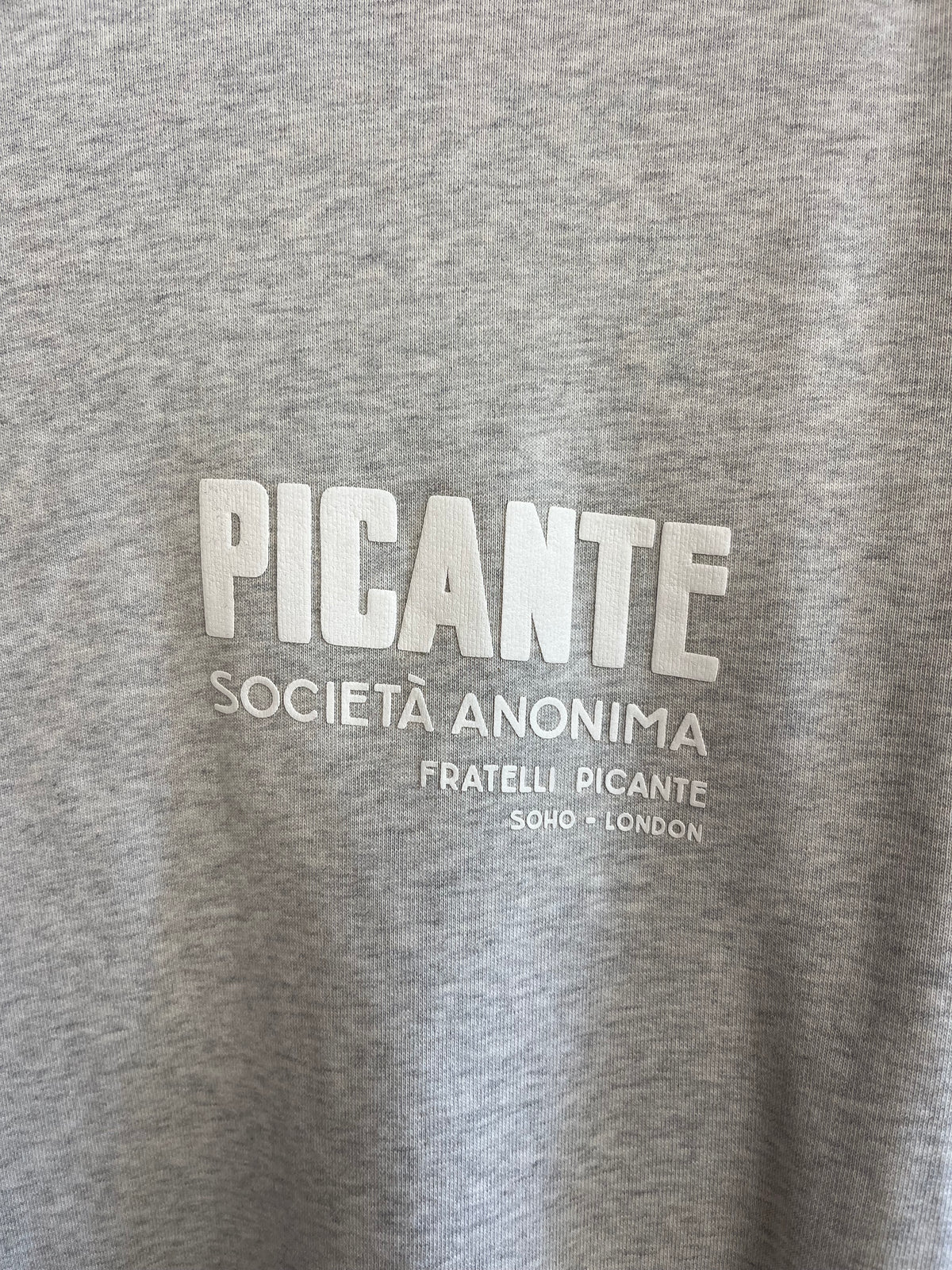 Picante Grey Hoodie - XXL