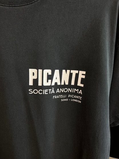 Picante Dark Vintage Grey T-Shirt - Medium